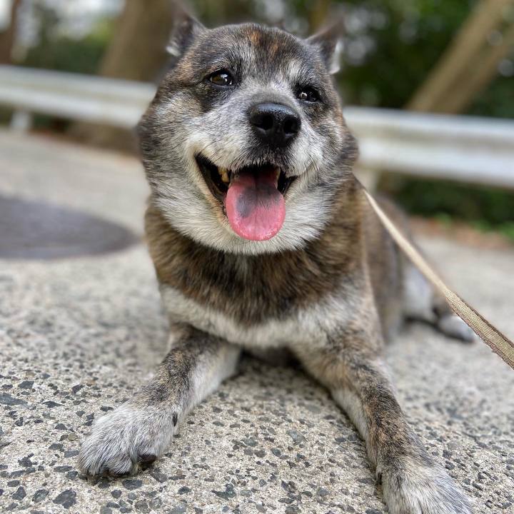 737397d2 b8a8 454c b2af 4af1d9038656 1649682129019