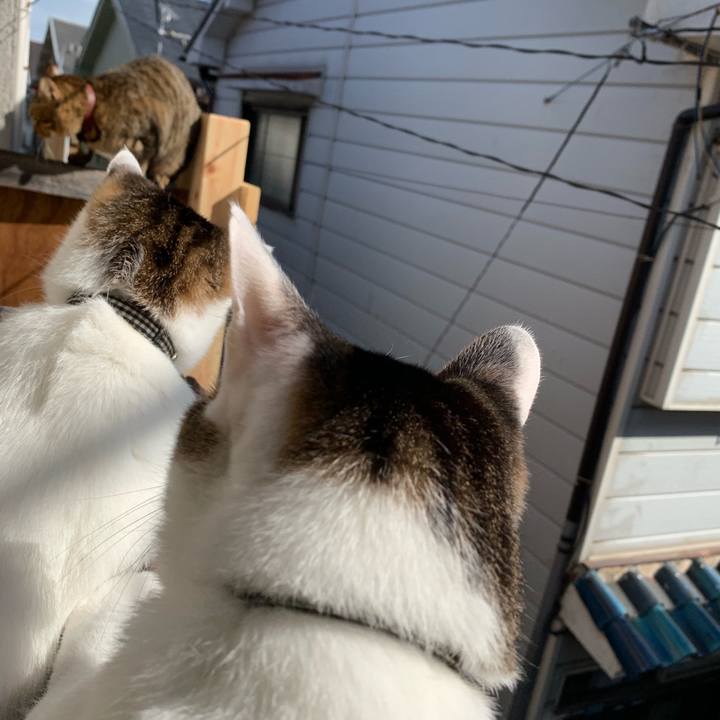 7373986a 828d 4f27 b152 d270b27c0a24 1574132318873