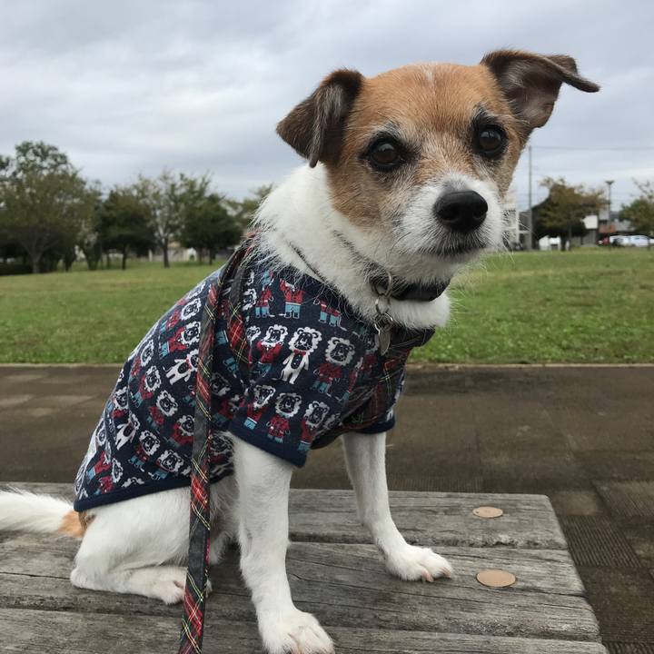 7373992e d6de 488a 9327 80a314fa080f 1571360413760