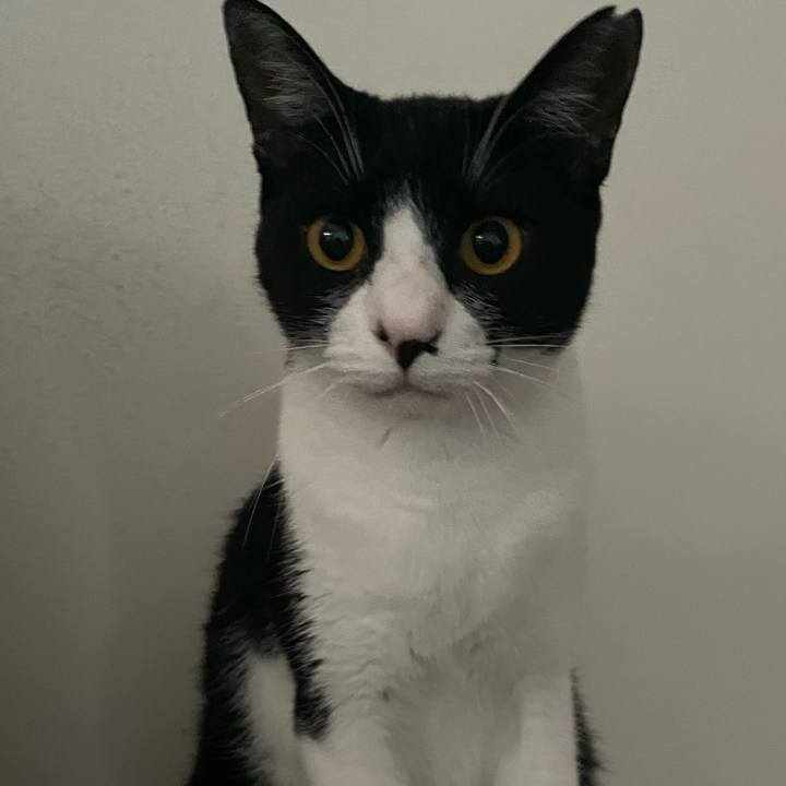 7373a342 5934 4763 b5cf 8076b1cf573f 1689970472207