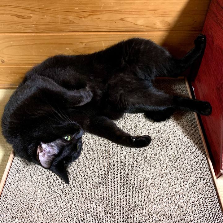 7373b12f 5fb7 41f6 bcaf 6890b0041d2a 1593083682133