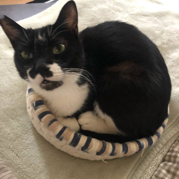 7373be68 ef16 4ad9 bcc7 3d46fb16cbd0 1589511373450