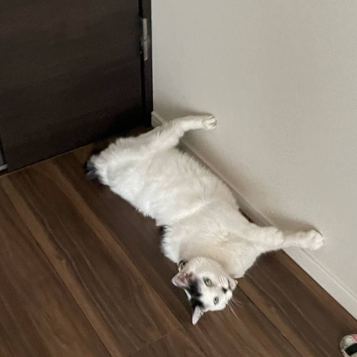 7373f565 6046 4535 a657 8da2748415b6 1728272415613