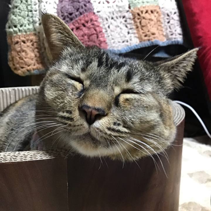 73740bc1 a70b 4b0e 9327 23bd449a9de3 1699965195611