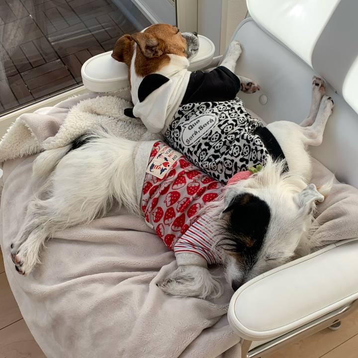 737410a4 6d4d 4e96 b25f 75af3b857e1c 1580364140993