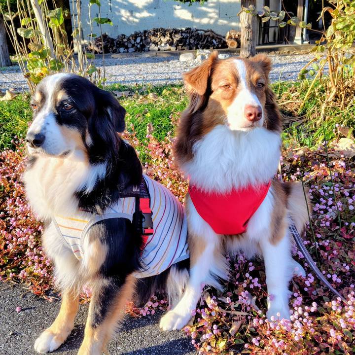 73742caa 7d50 43b9 96cc 529547832d21 1763550945226