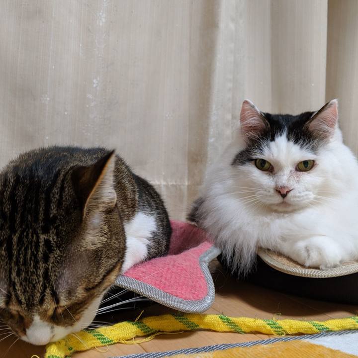 737443f6 d706 40f5 ac1f 3672af13664d 1565020438026