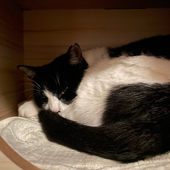 7374557f c5f2 48ae aa1d 703634ef89db 1706293506114