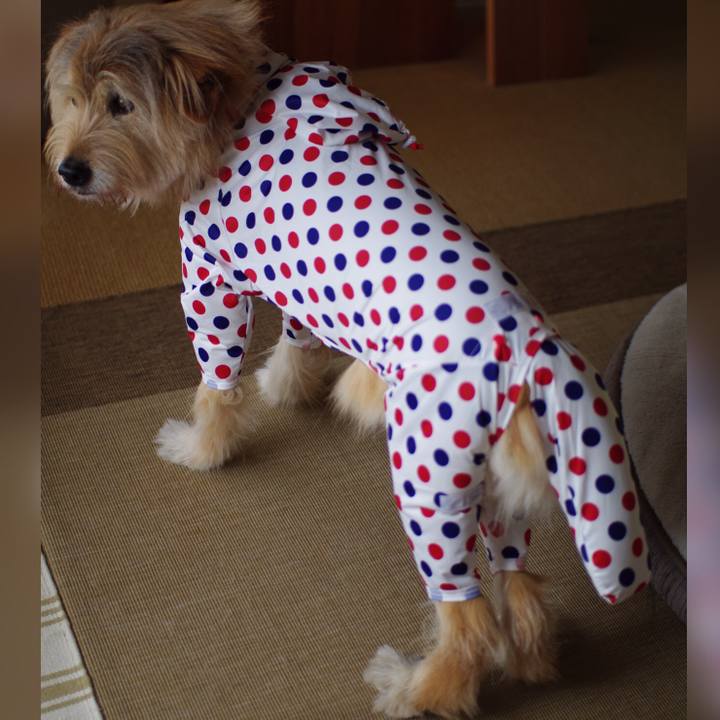 73747029 a861 4b4d a775 19967212f18e 1618372079898