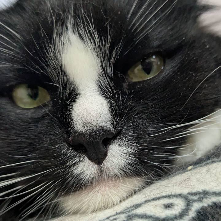 73748e8e 8cc5 4e4a bdd1 e3dd7ed3bf42 1775391397770