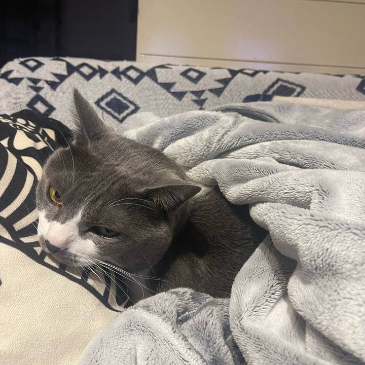 73749130 10a1 4aef b2ca 65dd703148cb 1677923007047