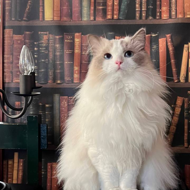 737493d2 e484 4d28 9380 51d57cae9926 1663505521438