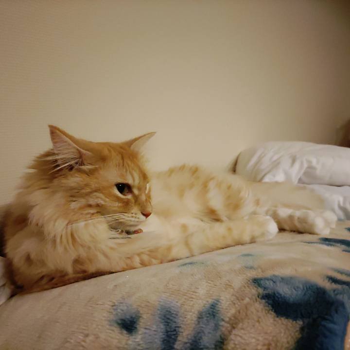 7375857e f7dd 4c15 8a9a 3e25bb2b23e0 1658931208736