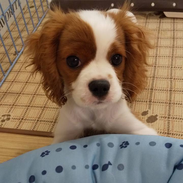 73759562 63e6 416a 974e a8d36a589935 1568100090400