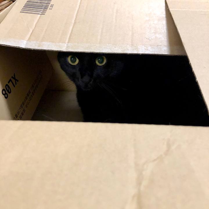 737598aa 4de6 4edb beb9 bce3fcc053f3 1571833899368