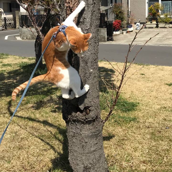 7375af0e c256 4b22 89a4 2595ed8123cb 1522467093003