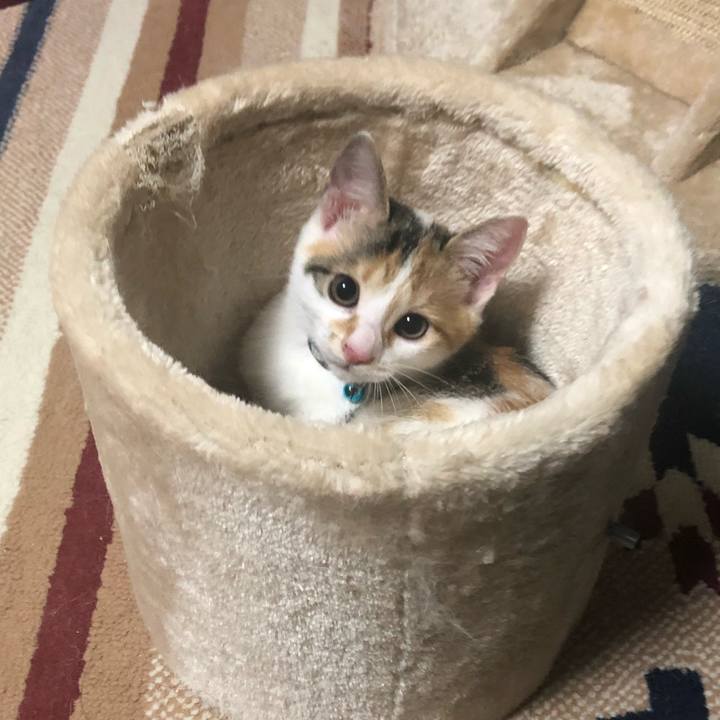 7375bdc4 655e 4a71 aaed 134a04f9af7b 1564754648650