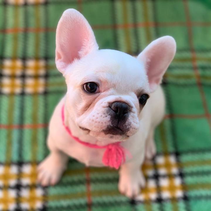 7375ee94 33cf 4e6e b012 397382a310dd 1636005871166