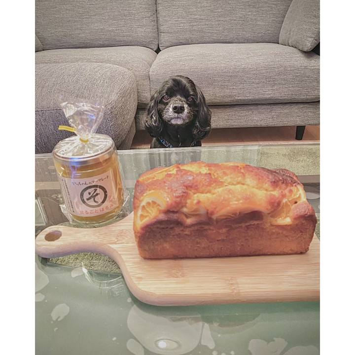 7375f0db d4e1 4852 8906 1842971f68f3 1681271814494