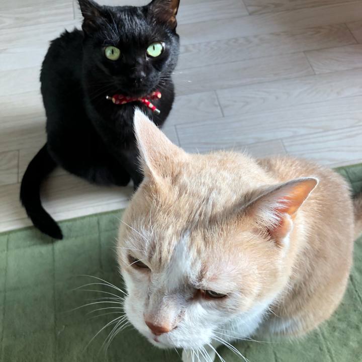 7375f3ce b342 4500 83fd 653cae0a6785 1628634379430