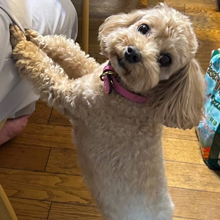 7375f69a 3770 4335 8b87 31a9f664d156 1685028434349