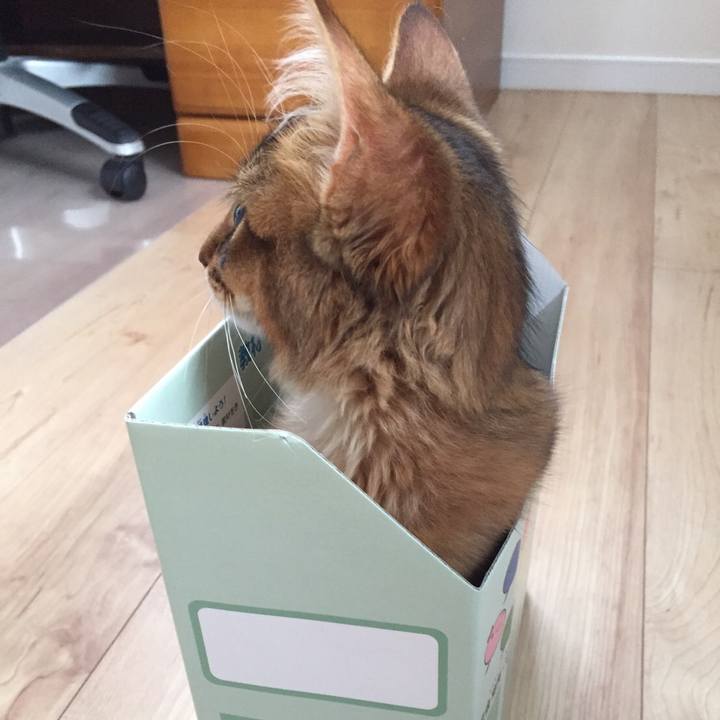 737607f9 0beb 4e65 adb5 12420e0bfe3a 1573213852867