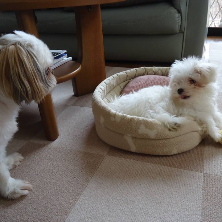 737667d7 5306 45d8 ae3a 726c33452769 1511510697200