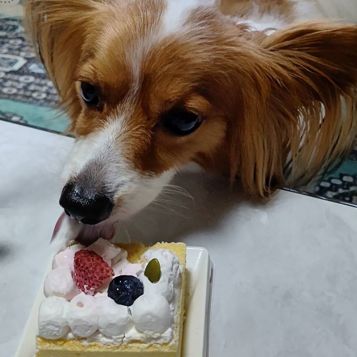 73766a53 4197 4d62 a011 e838510e007c 1719221781013