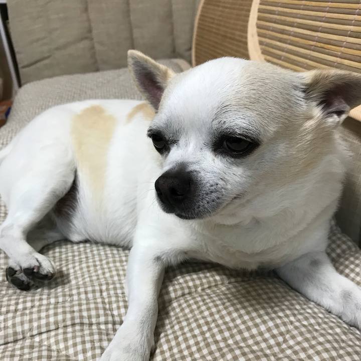 73769beb 19cb 4194 b357 faf7ffd50c1c 1527764524665