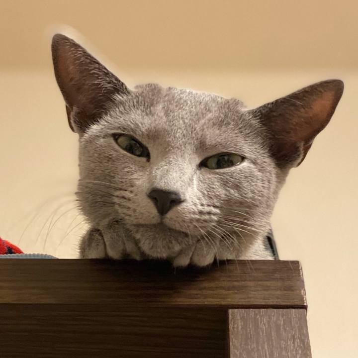 7376a585 289d 4f6f b7e6 23a89a726a91 1607348924794