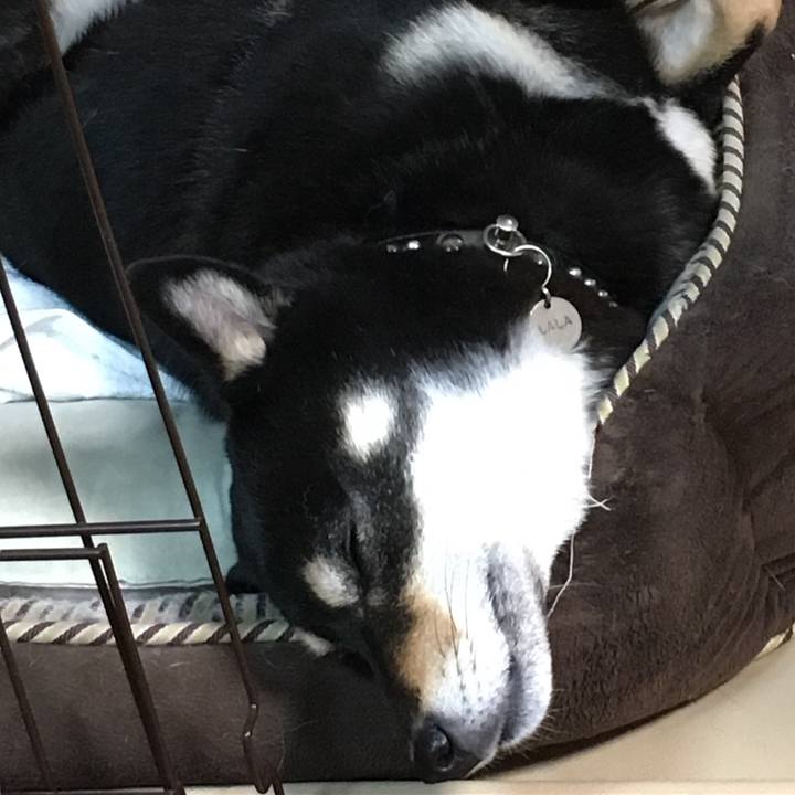 7376b37e 5b98 4dd2 a584 44077faf1708 1511663220795