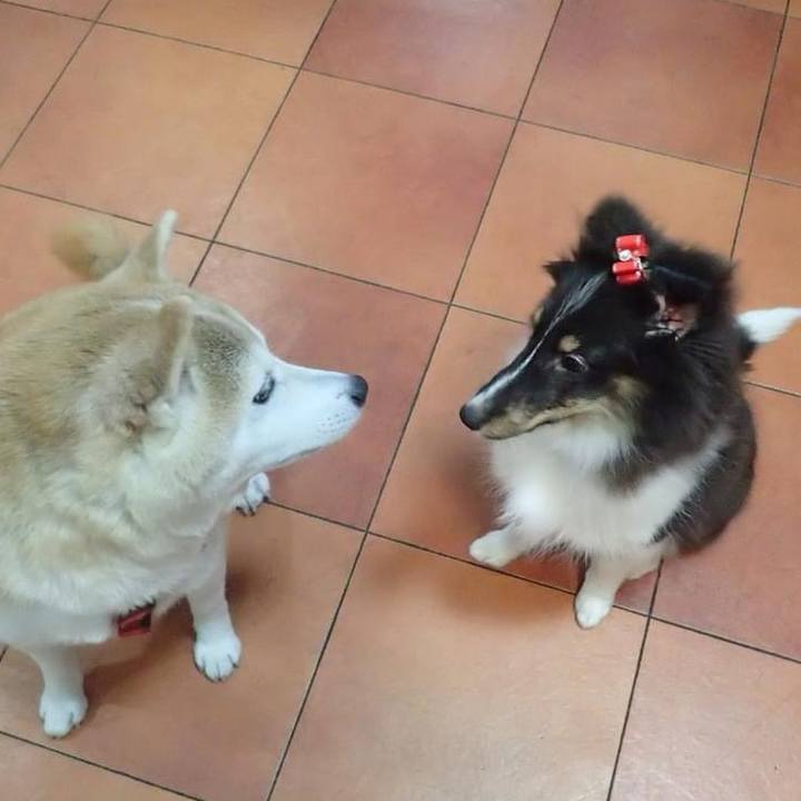 7376b538 1436 47a9 9db3 ee135d88bf64 1730324377487