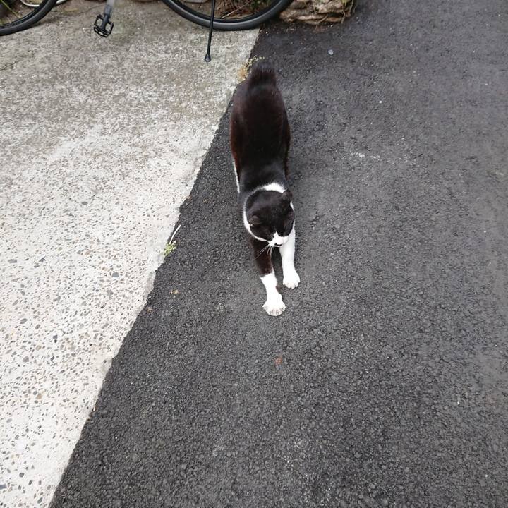 7376cc99 e113 493a af68 88c0e5580923 1620720680847