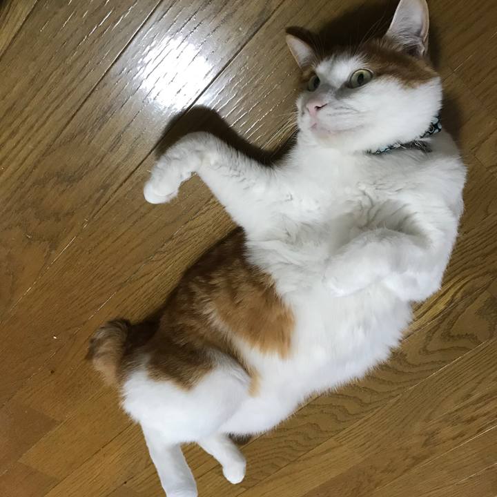 7376edec fc42 462e a26d 343739fd8401 1531084912583