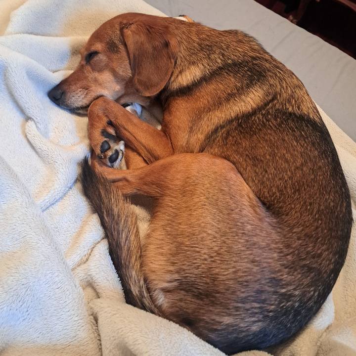 73770ad9 1223 4687 b62f 3d46f8b70c67 1764556930037