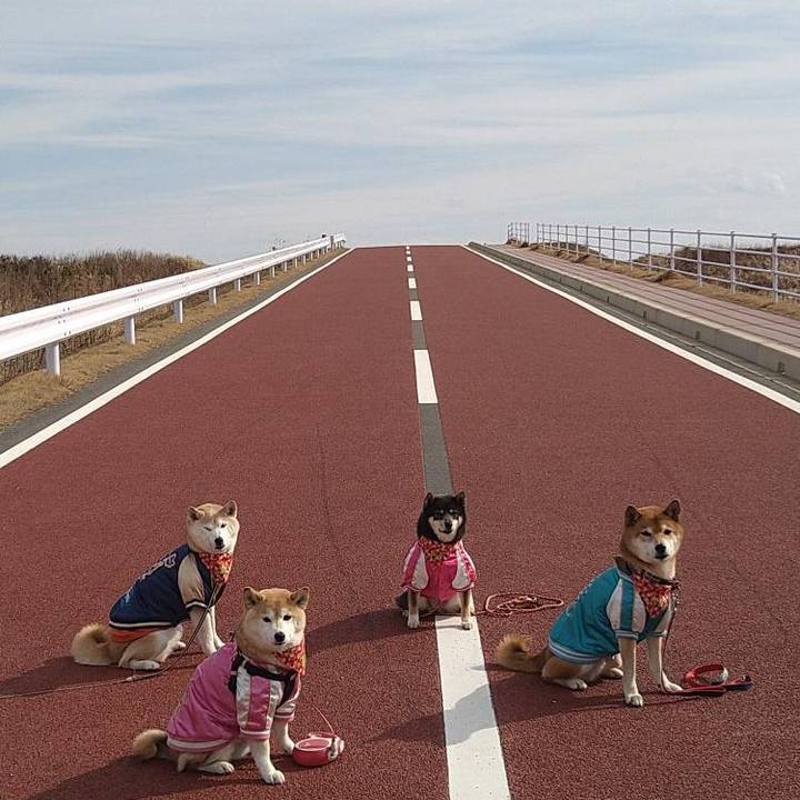 73772cc2 f18d 4252 86b0 05c61a2cdc1d 1707701671400