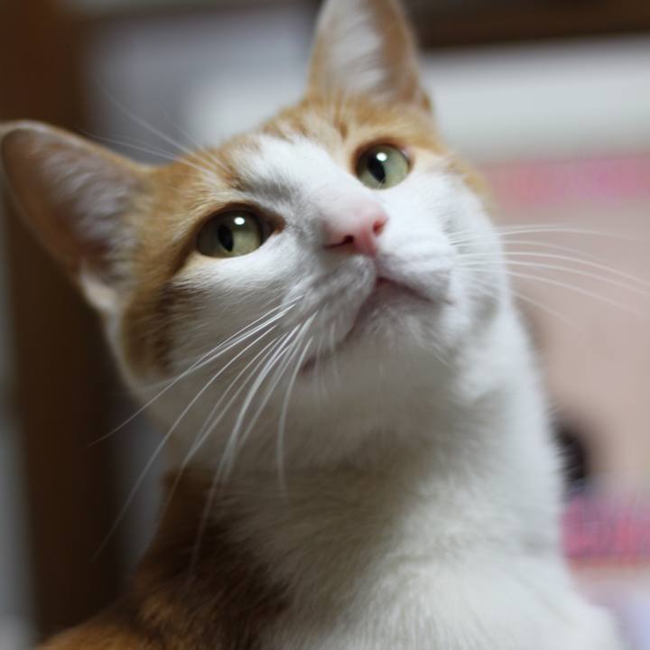 737753dd 090d 4c4d 98ea 6c923adc71a4 1520858509193