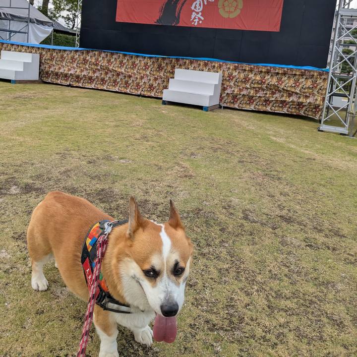 737754d5 bf53 4d64 b3e4 59f359d5f9c2 1752675039364