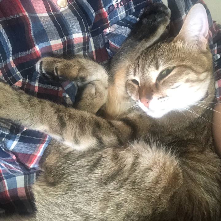 737755ff 4f4b 4bb7 b973 335435846392 1620391980379