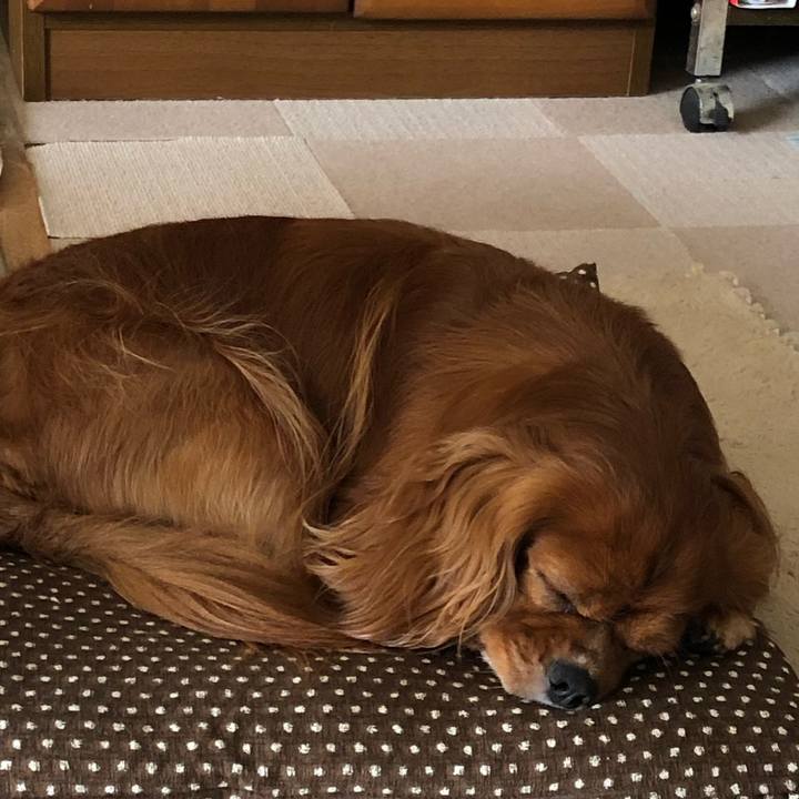 73778a58 7dba 4d97 ba4c 734e7a4b5e05 1596856395636