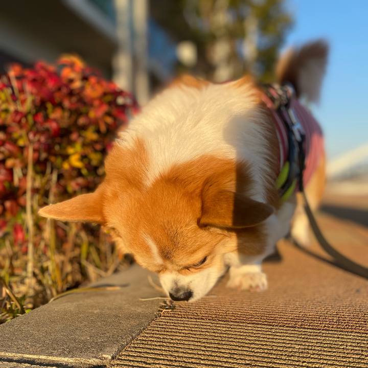 737797fa 38e1 45fb 87f0 f32d2288662d 1766990396445