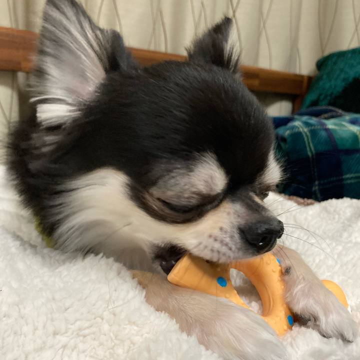 7377beae 3bbf 46d6 8950 6ce8693c76f5 1645623863487