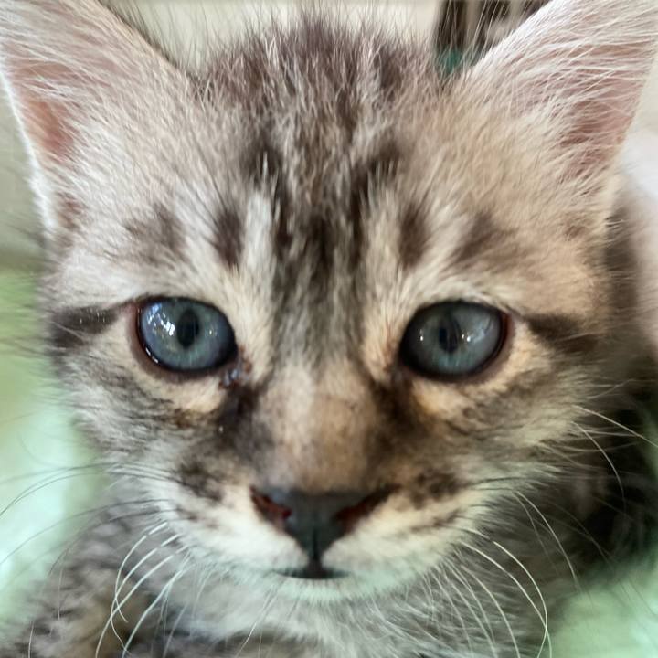 7377d327 22fd 4950 89d6 f8beb236abc6 1688548434773