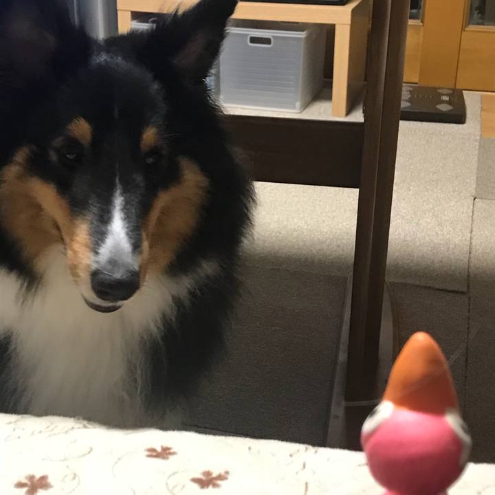 7377feae b067 4fa8 b27d a410b144440b 1533762397487