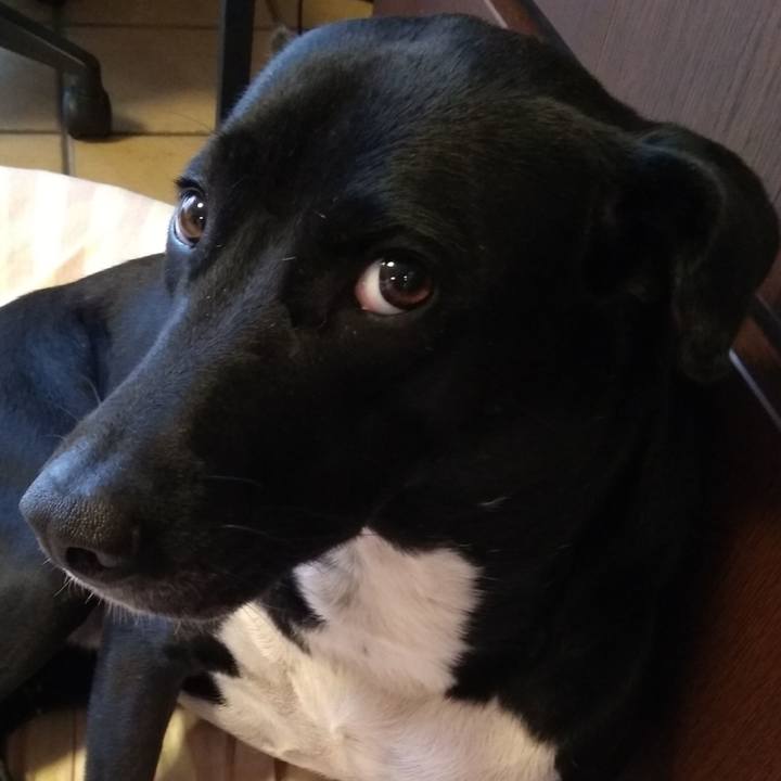 73780b6e 78fc 4954 90e5 d43339ba6267 1589845634503