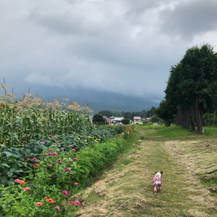 73780bf3 ef0c 4106 81f2 00e9a44734ca 1566194815040