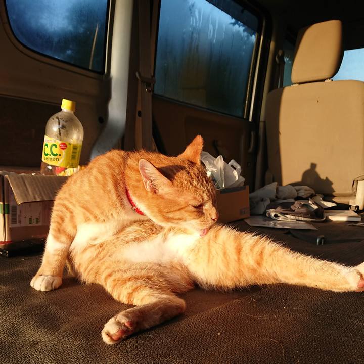 737861fa 03b7 4928 911a db0953661987 1568667844080