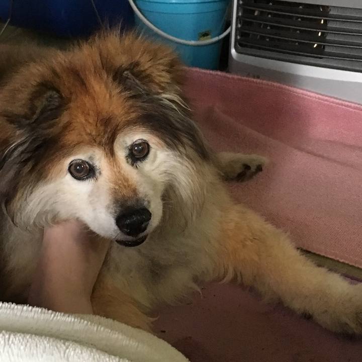 73786600 8d76 4b18 ae36 e1e0c6528b39 1600824240975