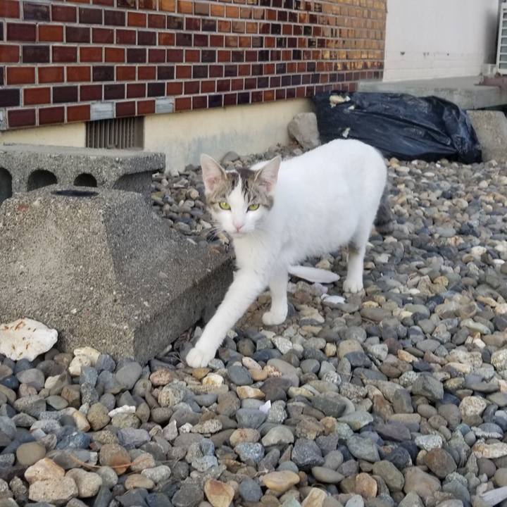 73787c80 f472 47d1 9ef4 8a4a035fd04b 1588430291760