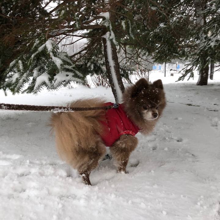 7378a800 3ee7 4041 b38d 503d1341c38d 1639437354810